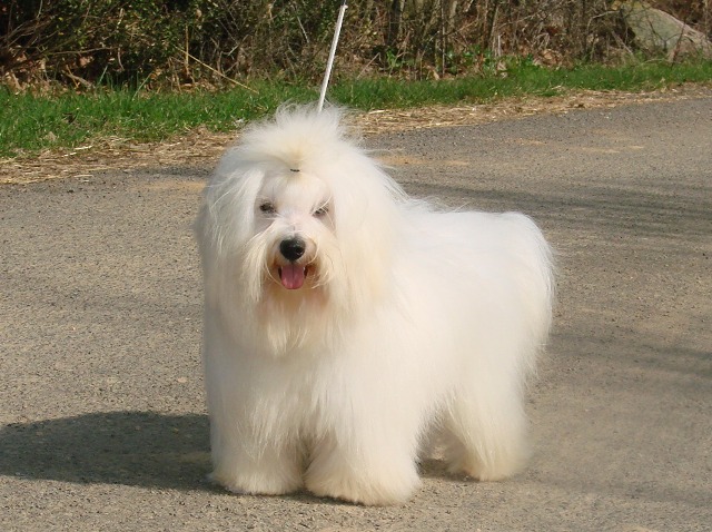 Géronimo à 10 mois